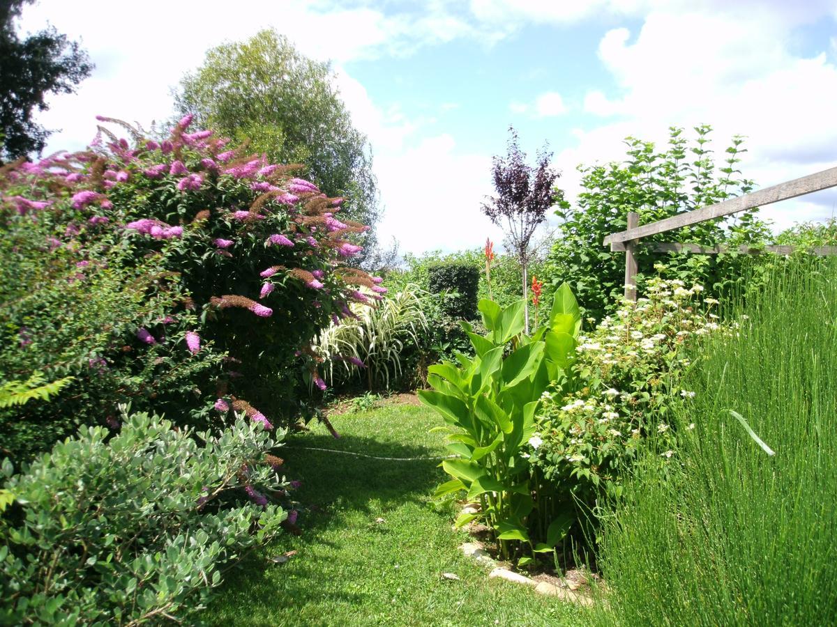 Le Bord De L'Eau Bed & Breakfast Sainte-Terre Exterior foto